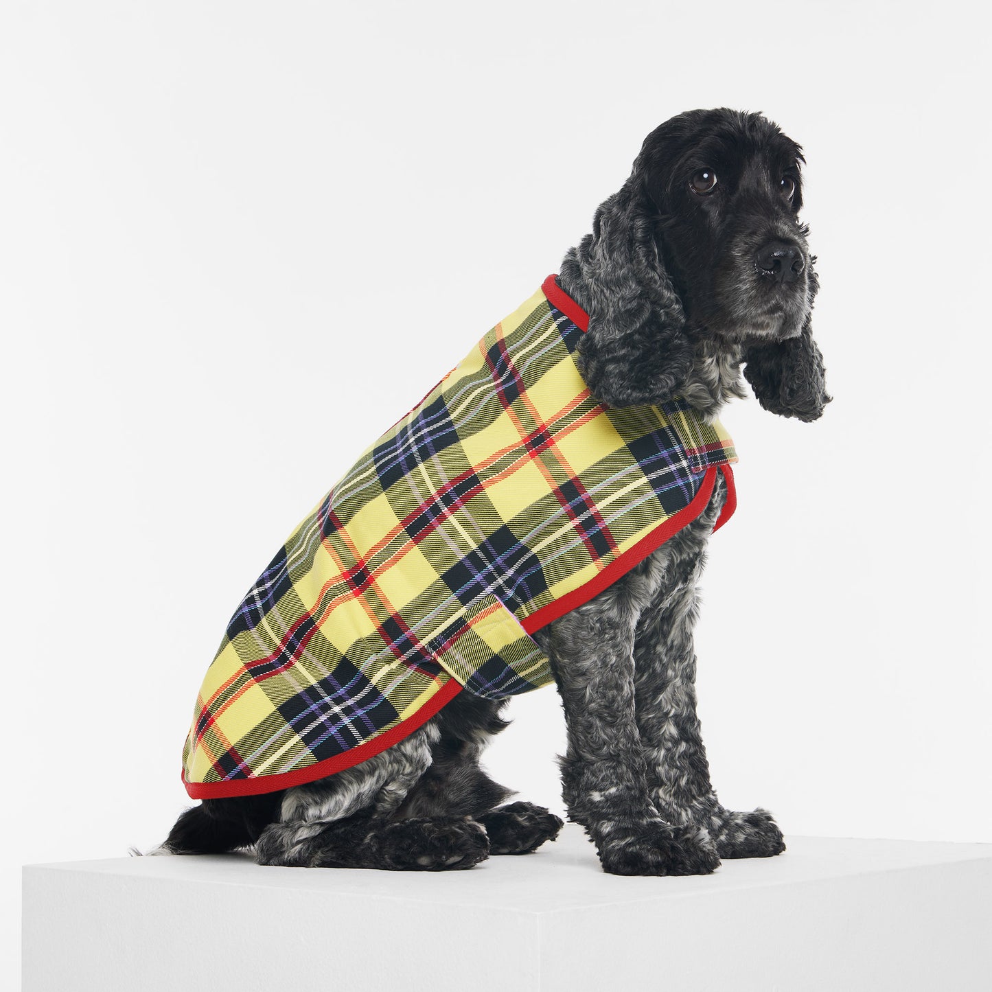 Dog Jacket Tartan Yellow