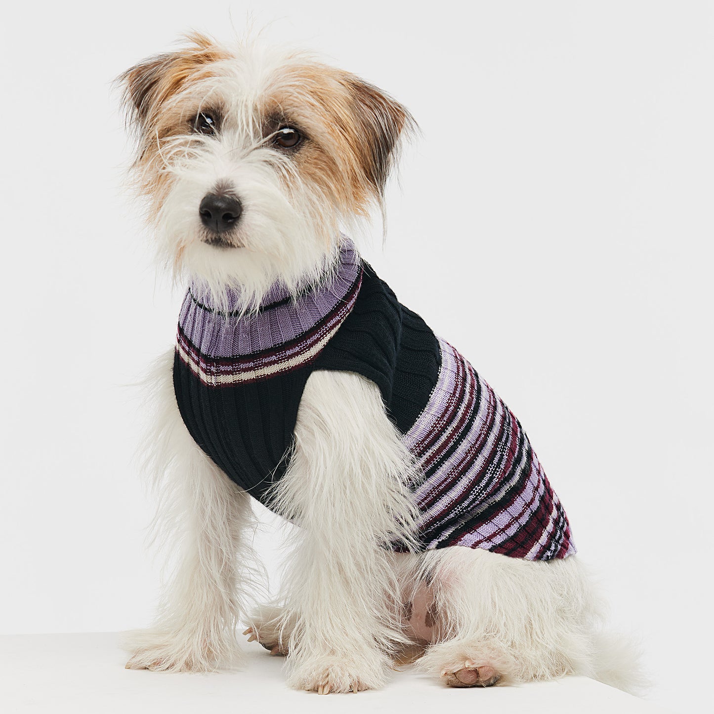 Dog Sweater Hibiscus
