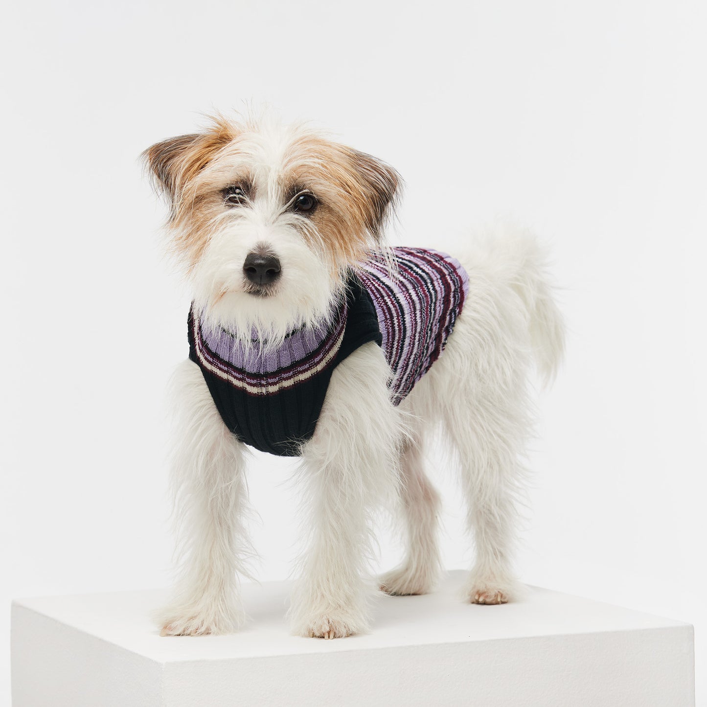 Dog Sweater Hibiscus