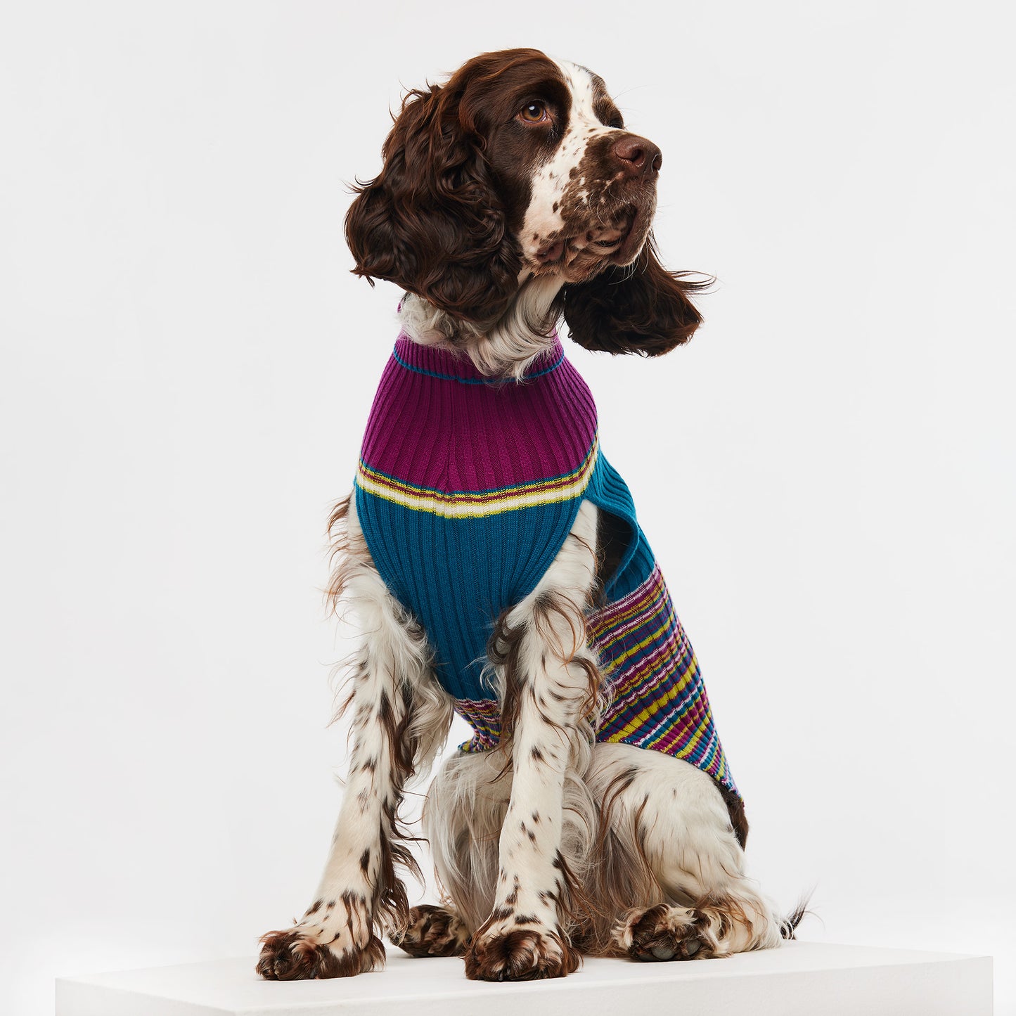 Dog Sweater Waratah