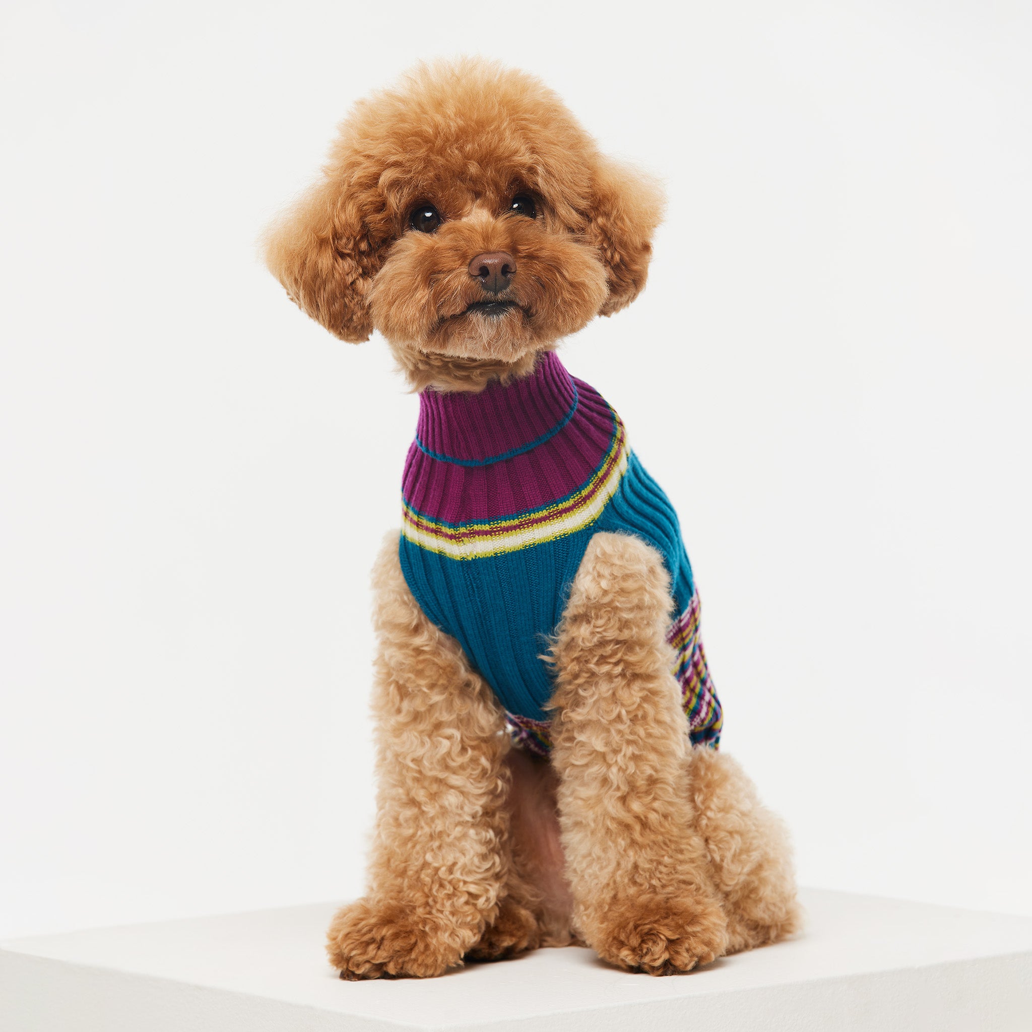 May Merino Wool Turtleneck in Waratah – Houndsome