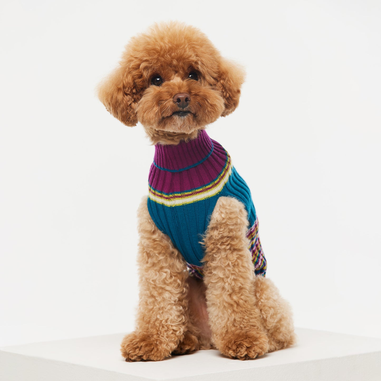 Dog Sweater Waratah