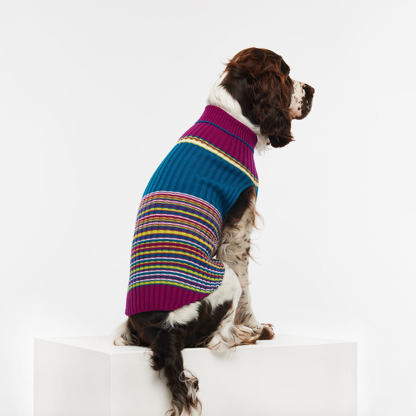 Dog Sweater Waratah