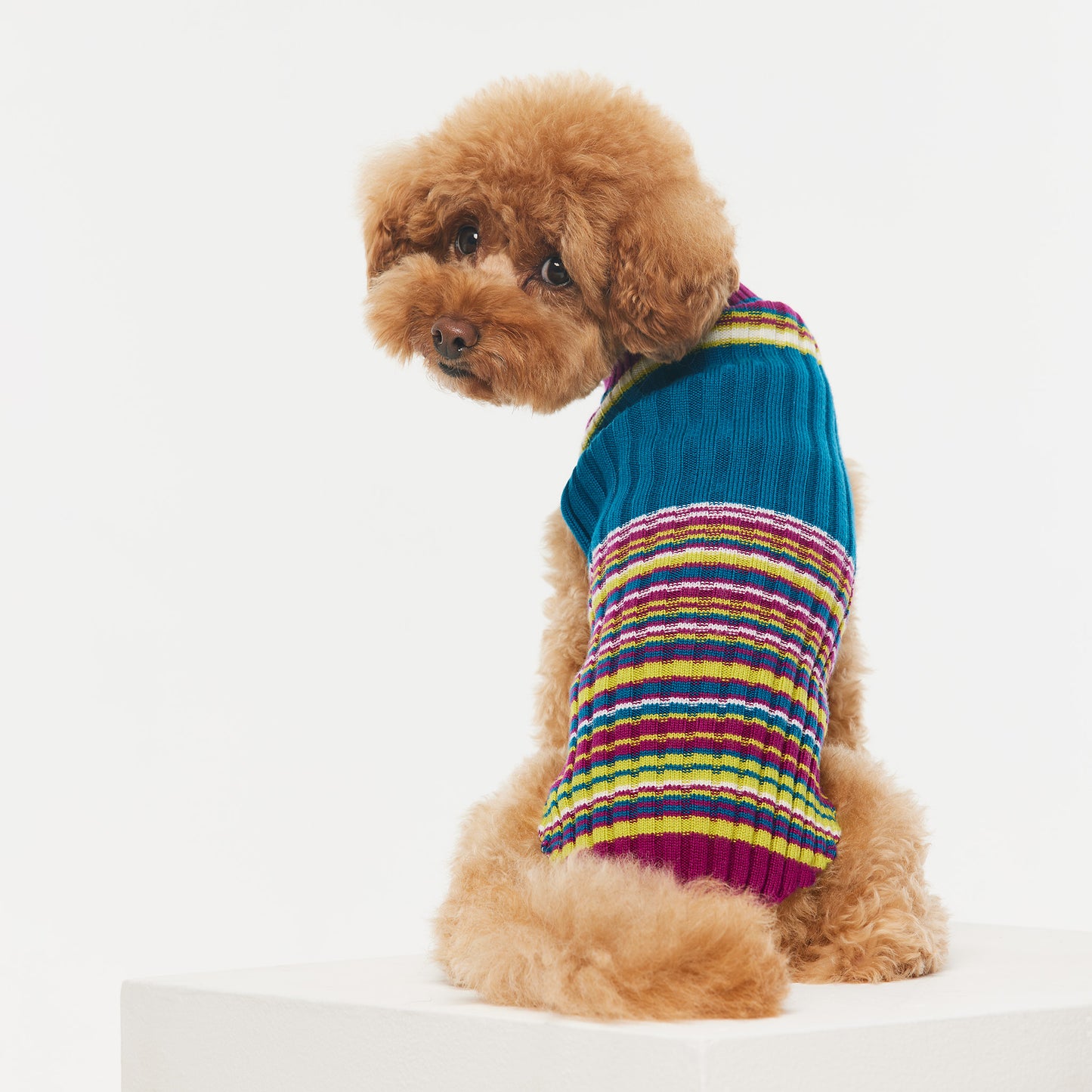 Dog Sweater Waratah