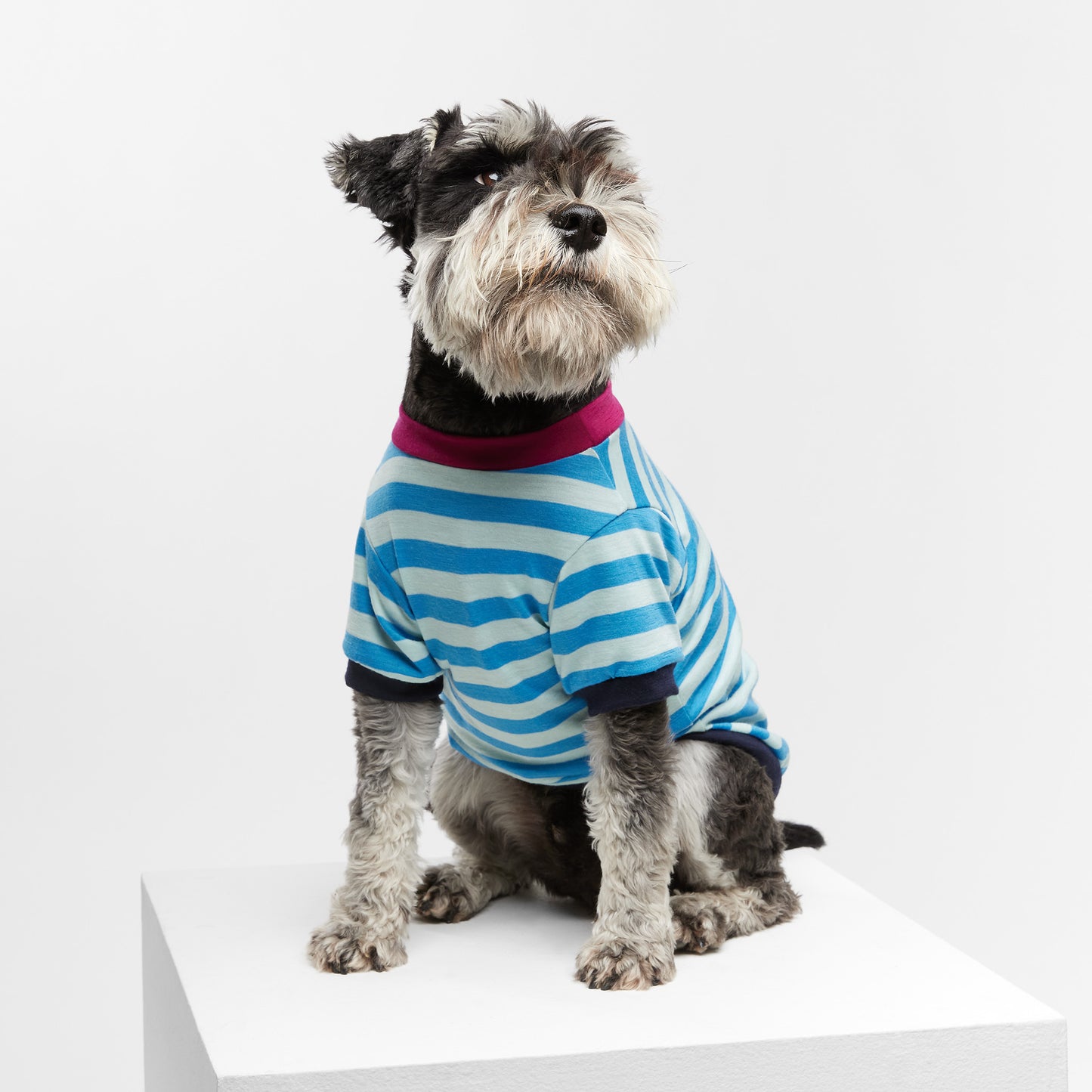 Dog T-Shirt