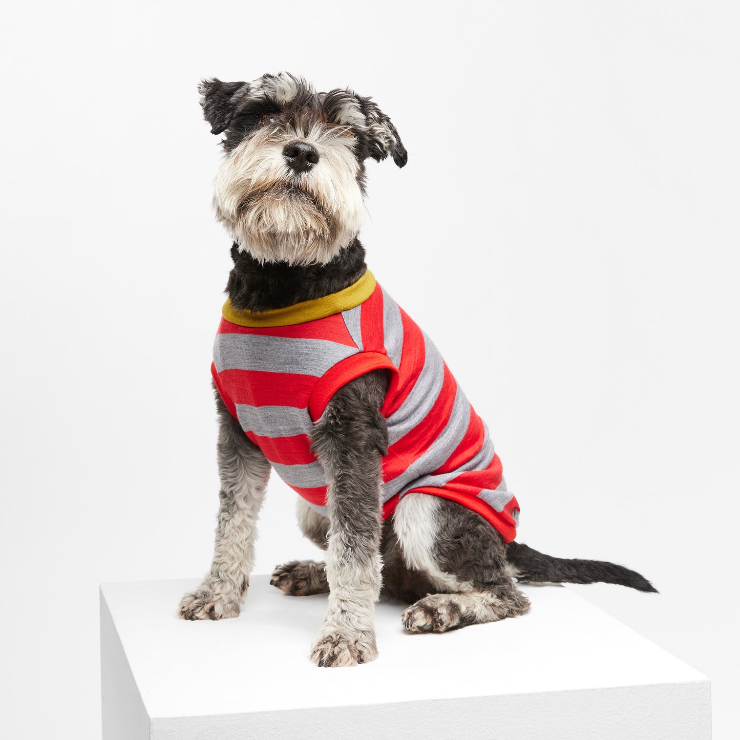 Dog T-Shirt Sleeveless