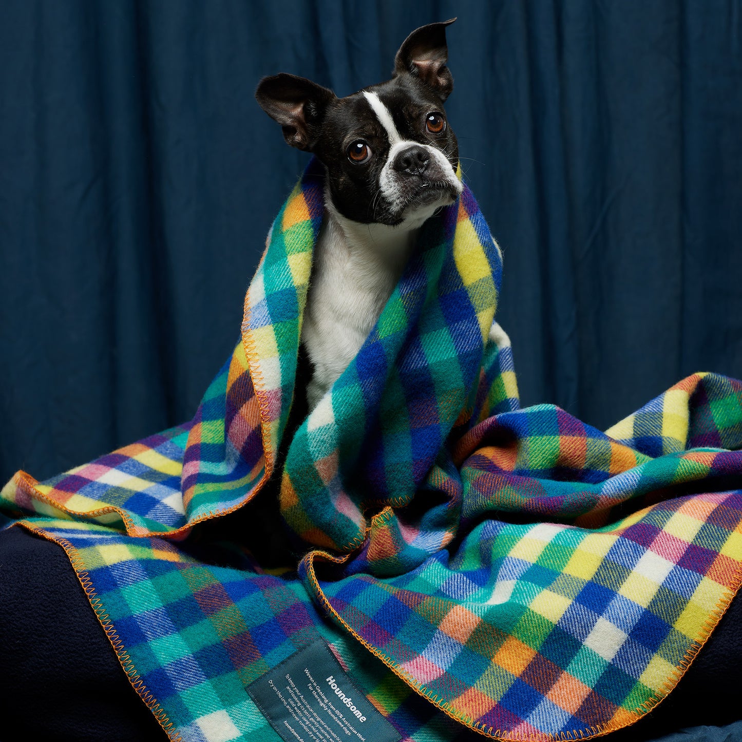 Dog Blanket Eucalypt
