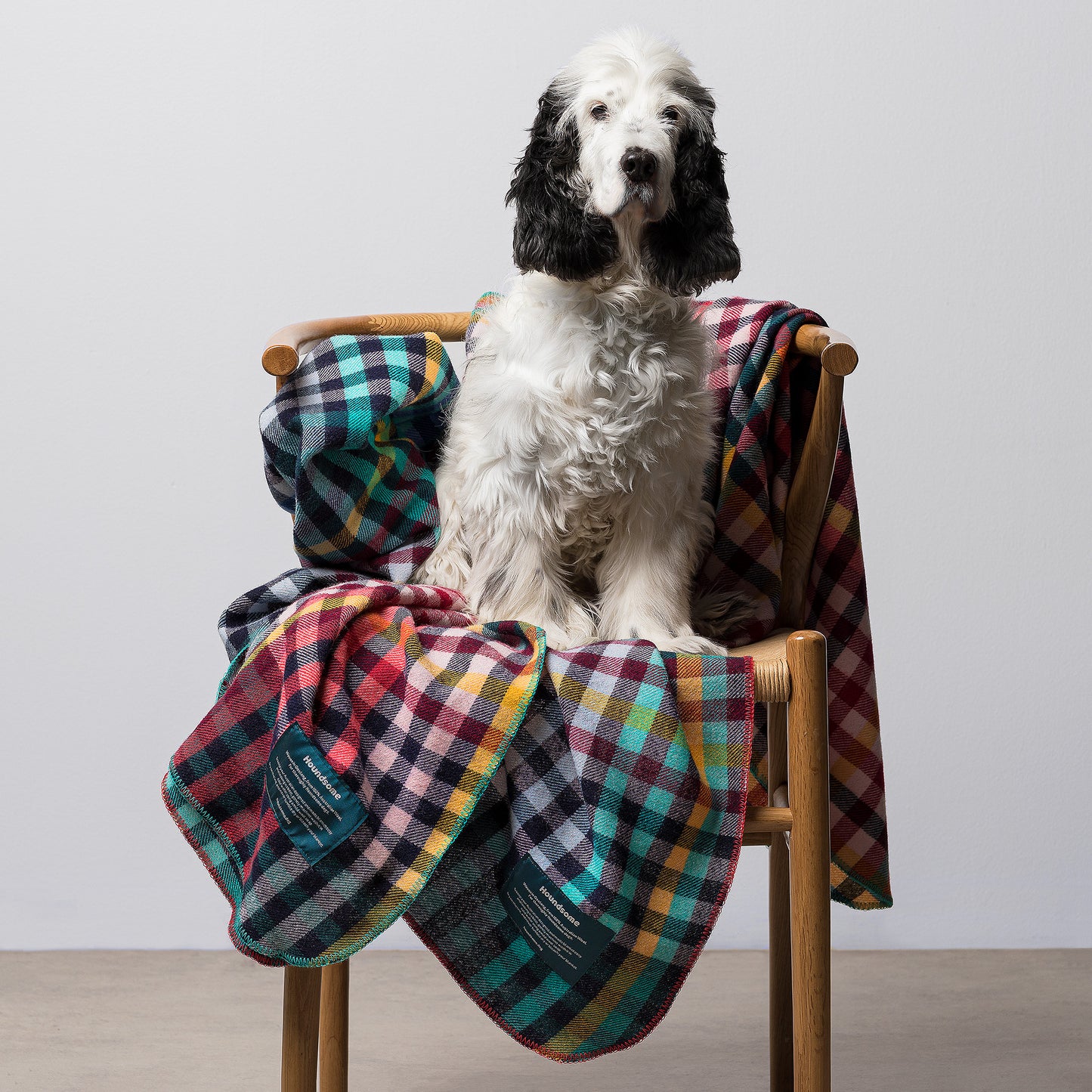 Dog Blanket Lilly Pilly