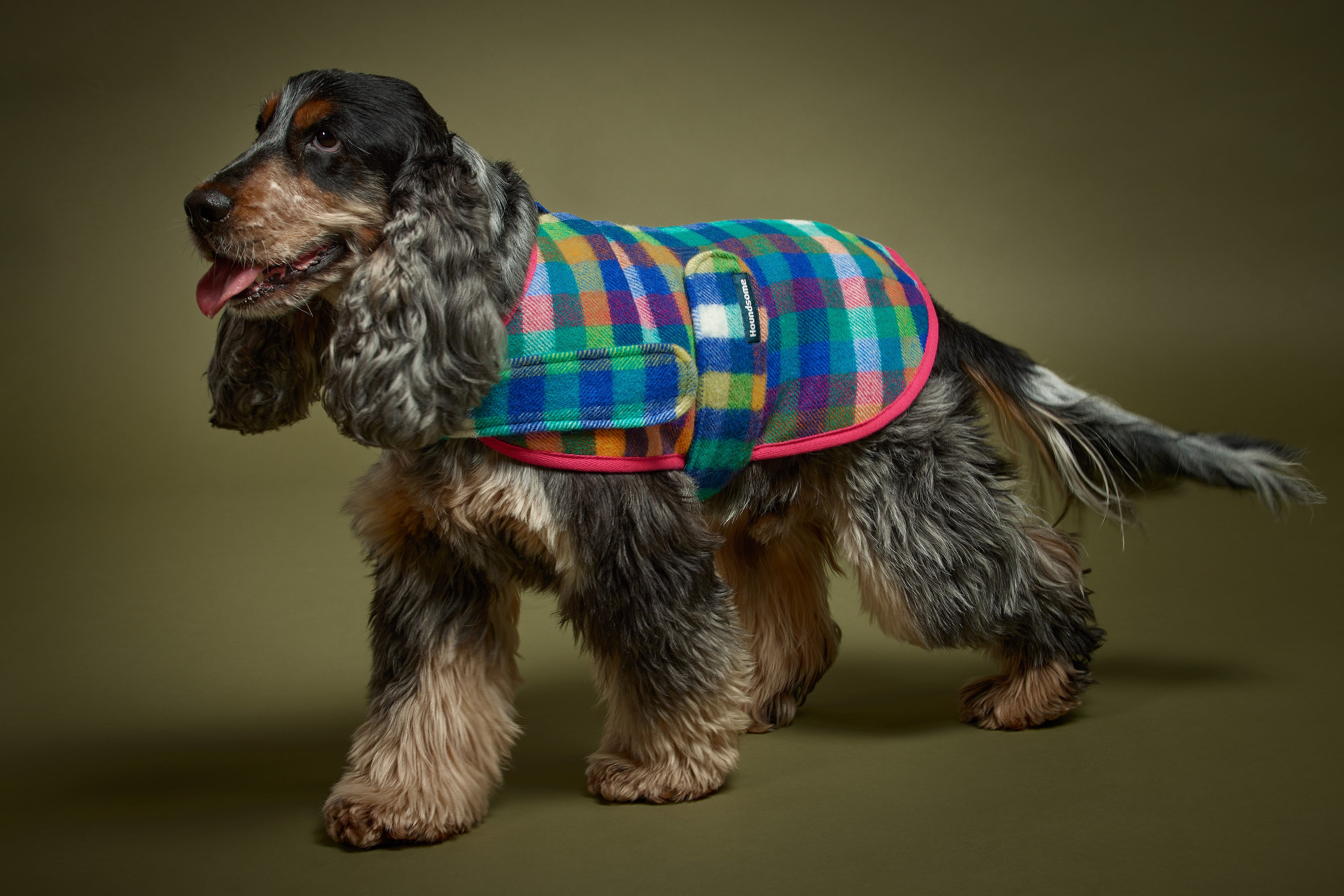 Colourful Checked Dog Jacket on grey Background