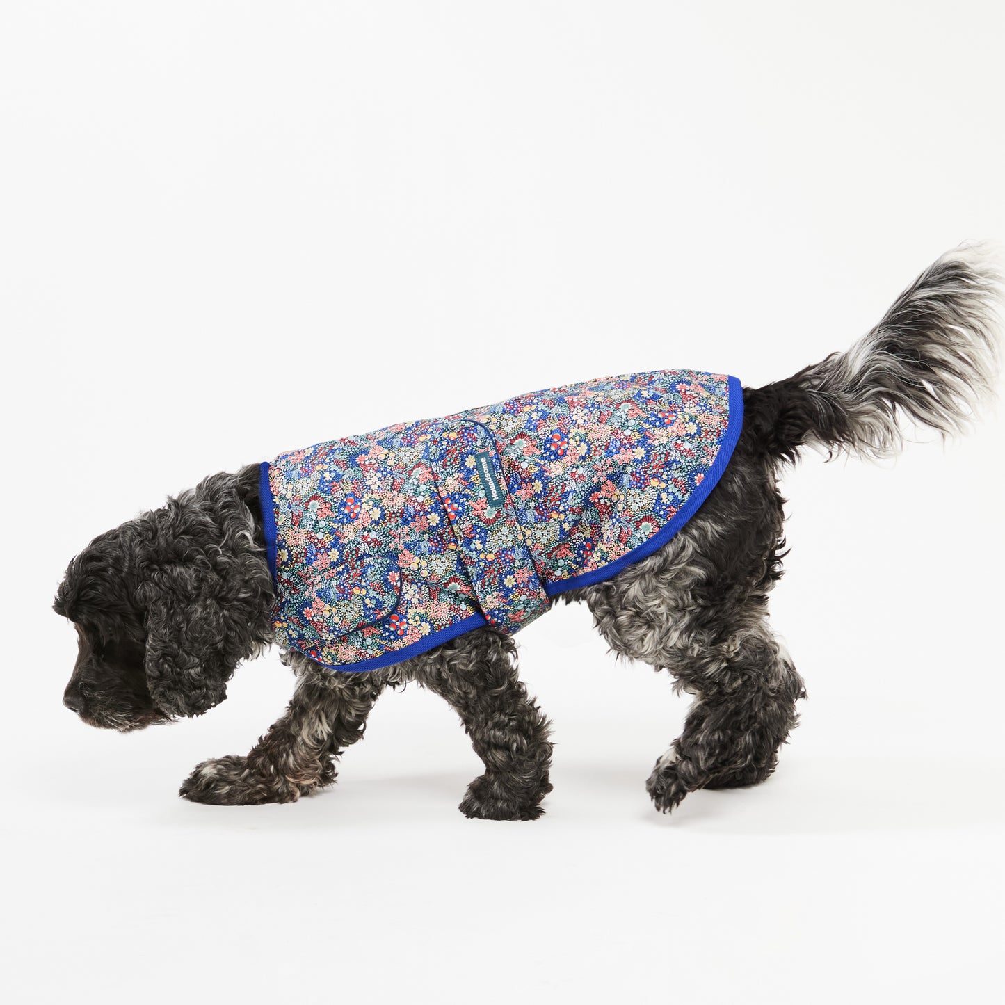 Dog Spray Jacket Birdie Liberty