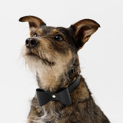 Dog Collar Brocky Bow Black