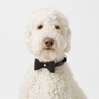 Dog Collar Brocky Bow Black
