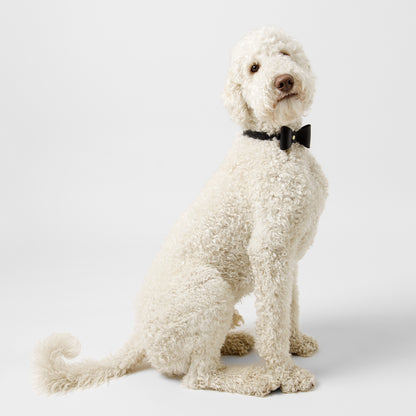 Dog Collar Brocky Bow Black