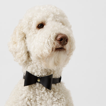 Dog Collar Brocky Bow Black