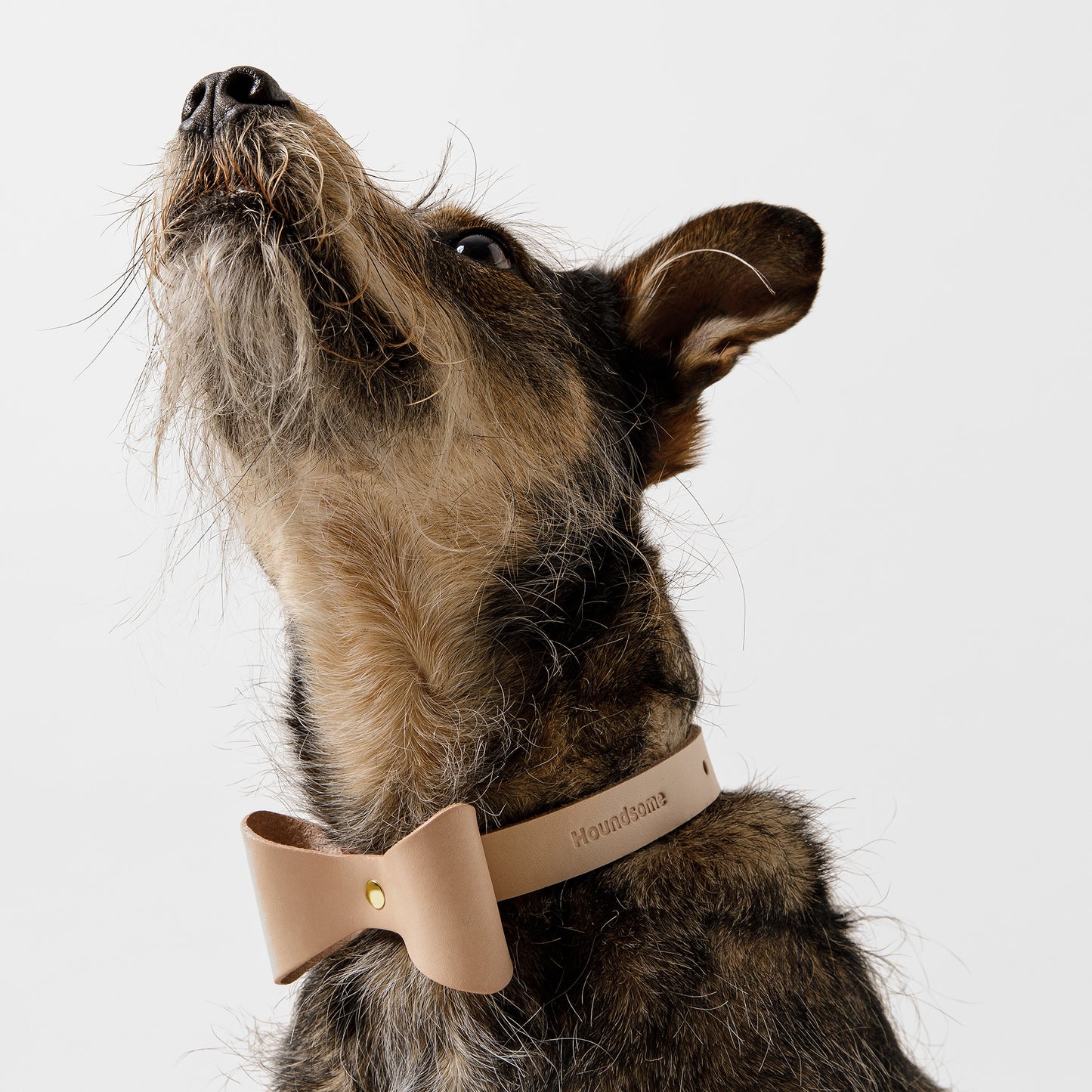 Dog Collar Brocky Bow Natural