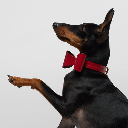 Dog Collar Brocky Bow Red