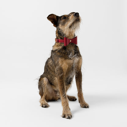 Dog Collar Brocky Bow Red