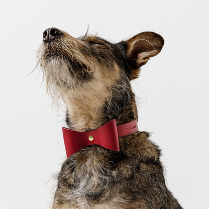 Dog Collar Brocky Bow Red