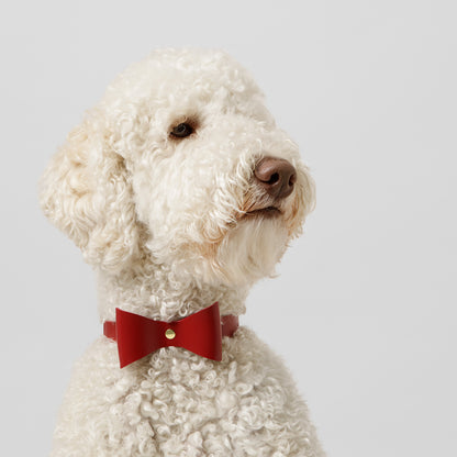 Dog Collar Brocky Bow Red