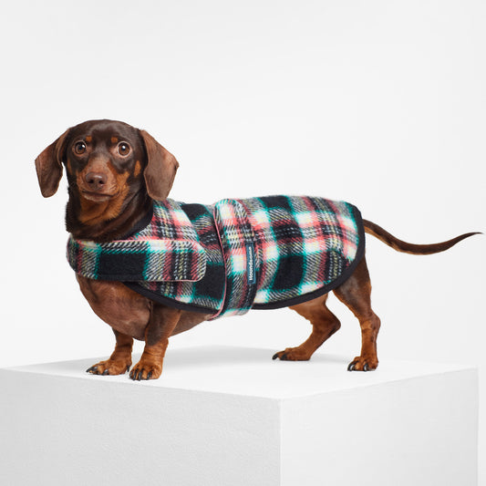 Dachshund Dog Coat Black Cockatoo Coral