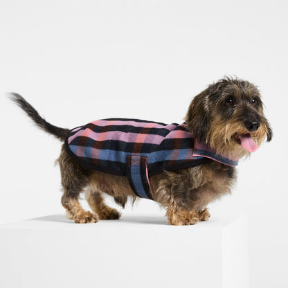 Dachshund Dog Coat Galah
