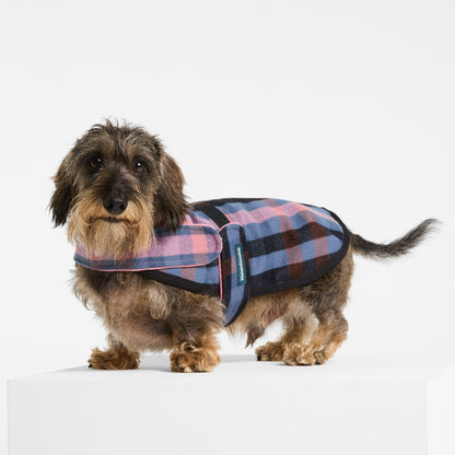 Dachshund Dog Coat Galah