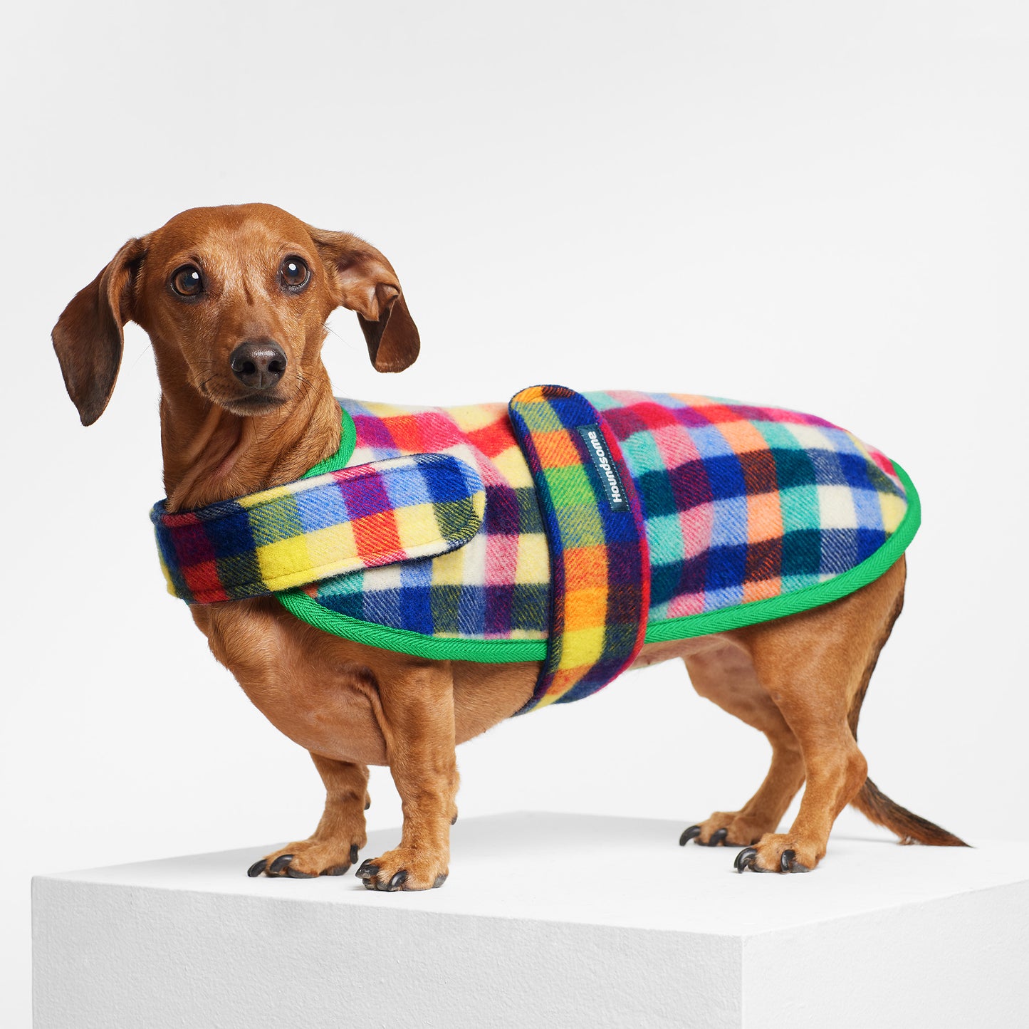 Dachshund Dog Coat Grevillea Green