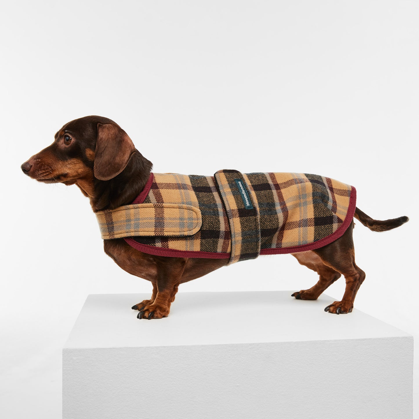 Dachshund Dog Coat Highland Plaid