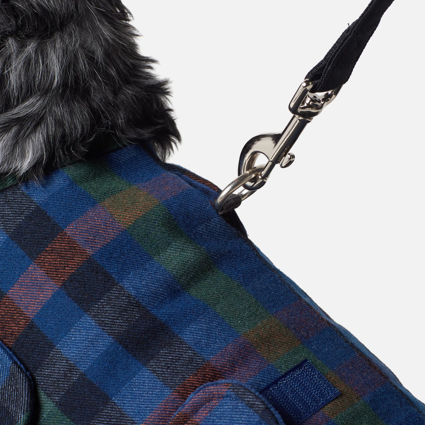 Dog Coat Hinterland