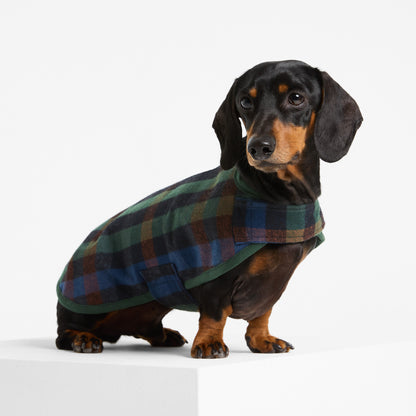 Dachshund Dog Coat Hinterland
