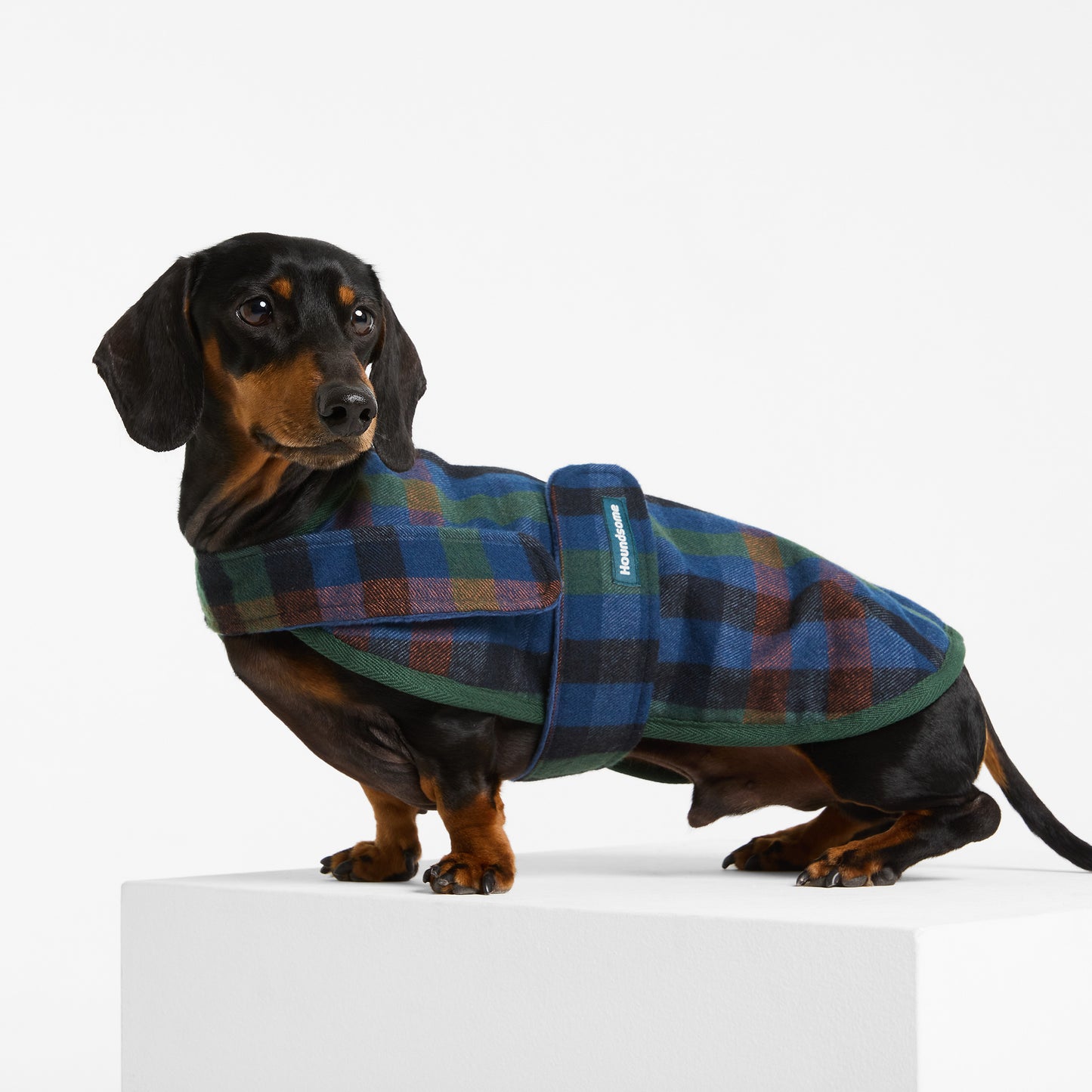 Dachshund Dog Coat Hinterland