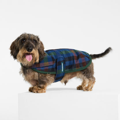 Dachshund Dog Coat Hinterland