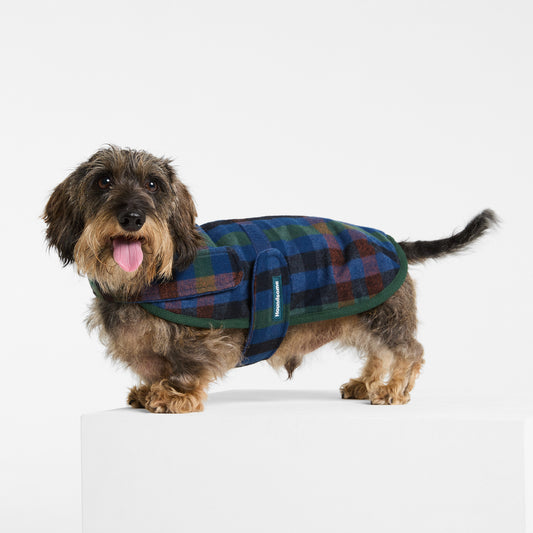 Dachshund Dog Coat Hinterland