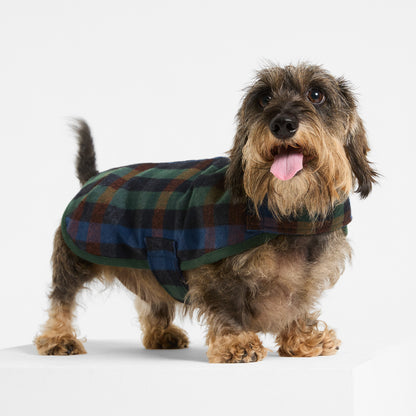 Dachshund Dog Coat Hinterland