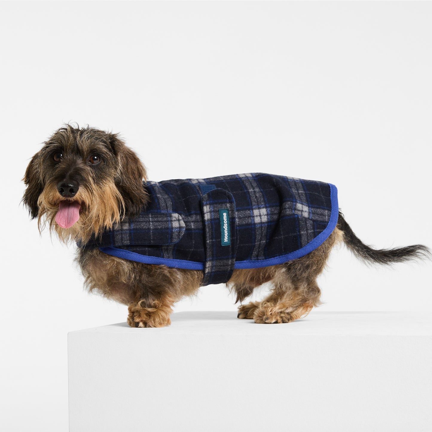 Dachshund Dog Coat Trentham