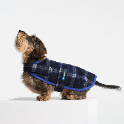 Dachshund Dog Coat Trentham