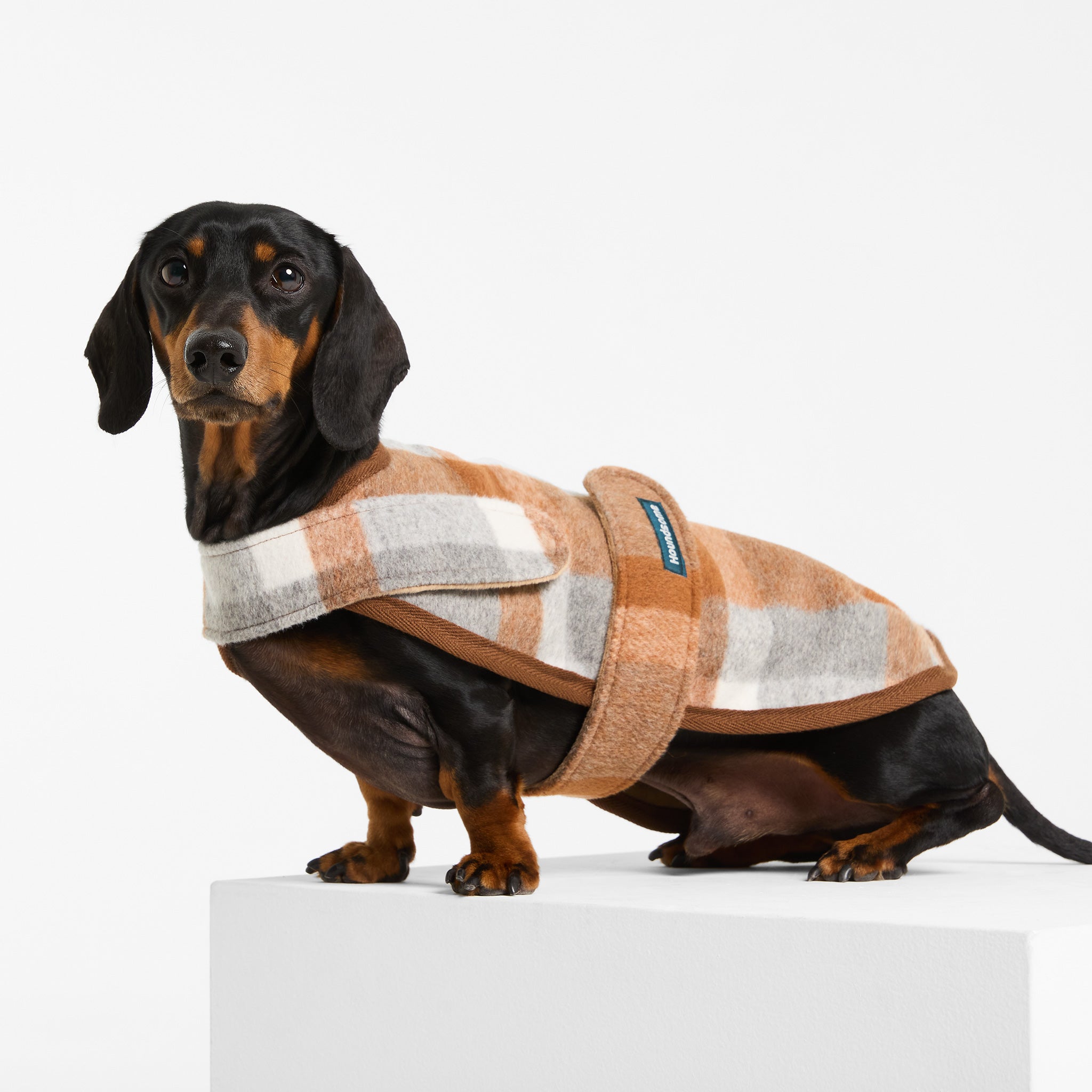 Dachshund Duncan Wool Dog Sportcoat in Wallaby – Houndsome