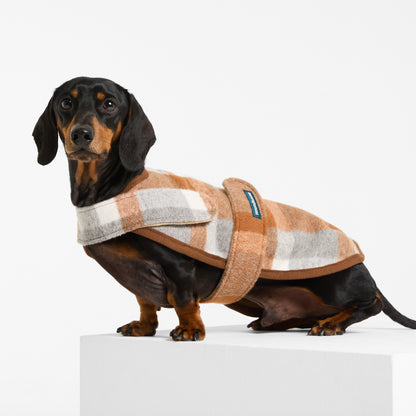 Dachshund Dog Coat Wallaby