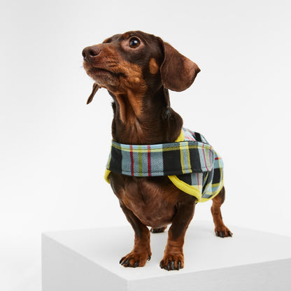 Dachshund Dog Jacket Tartan Blue