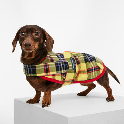 Dachshund Dog Jacket Tartan Yellow