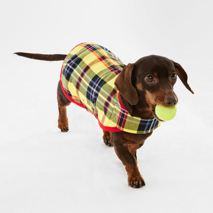Dachshund Dog Jacket Tartan Yellow