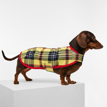 Dachshund Dog Jacket Tartan Yellow