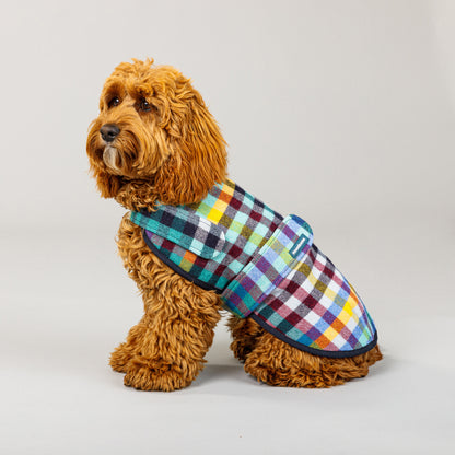 Dog Coat Banksia