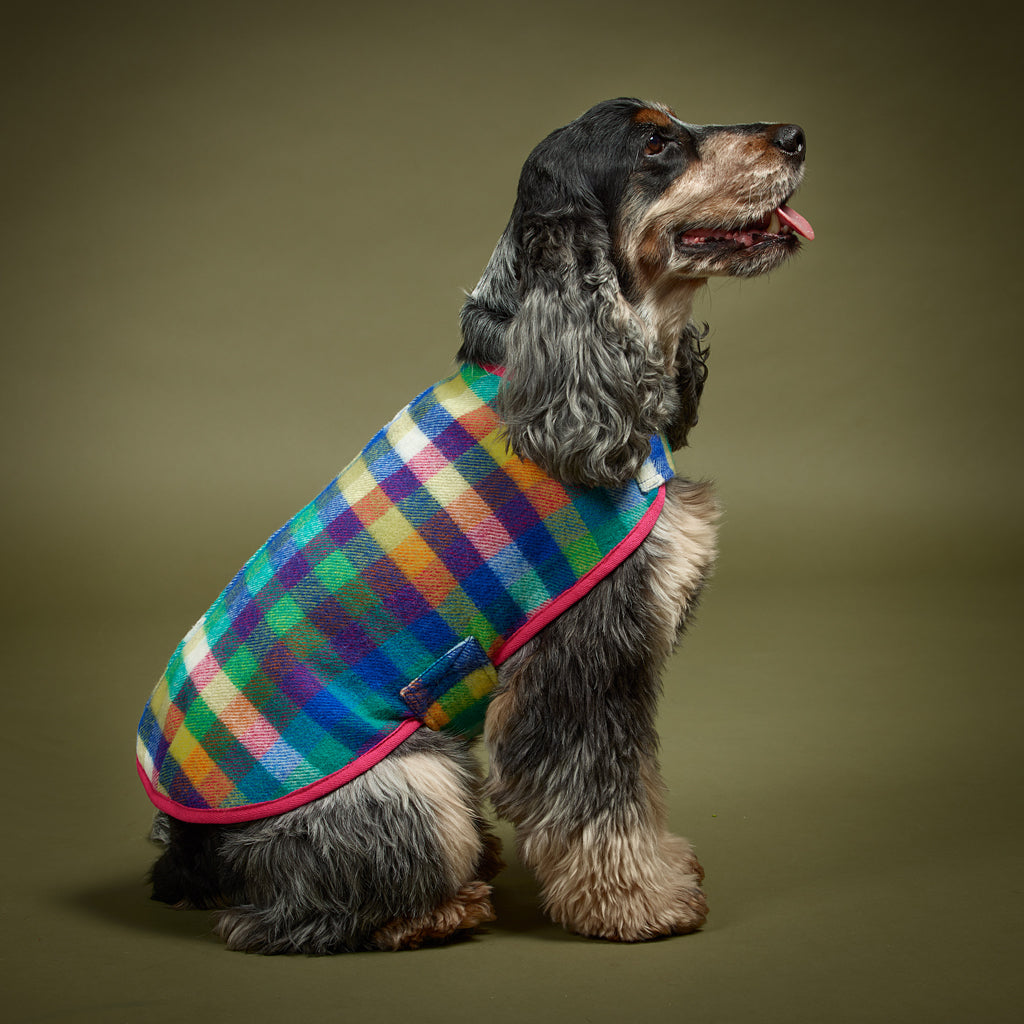 Duncan Dog Sportcoat (with harness opening) in Eucalypt Check with Pink Trim