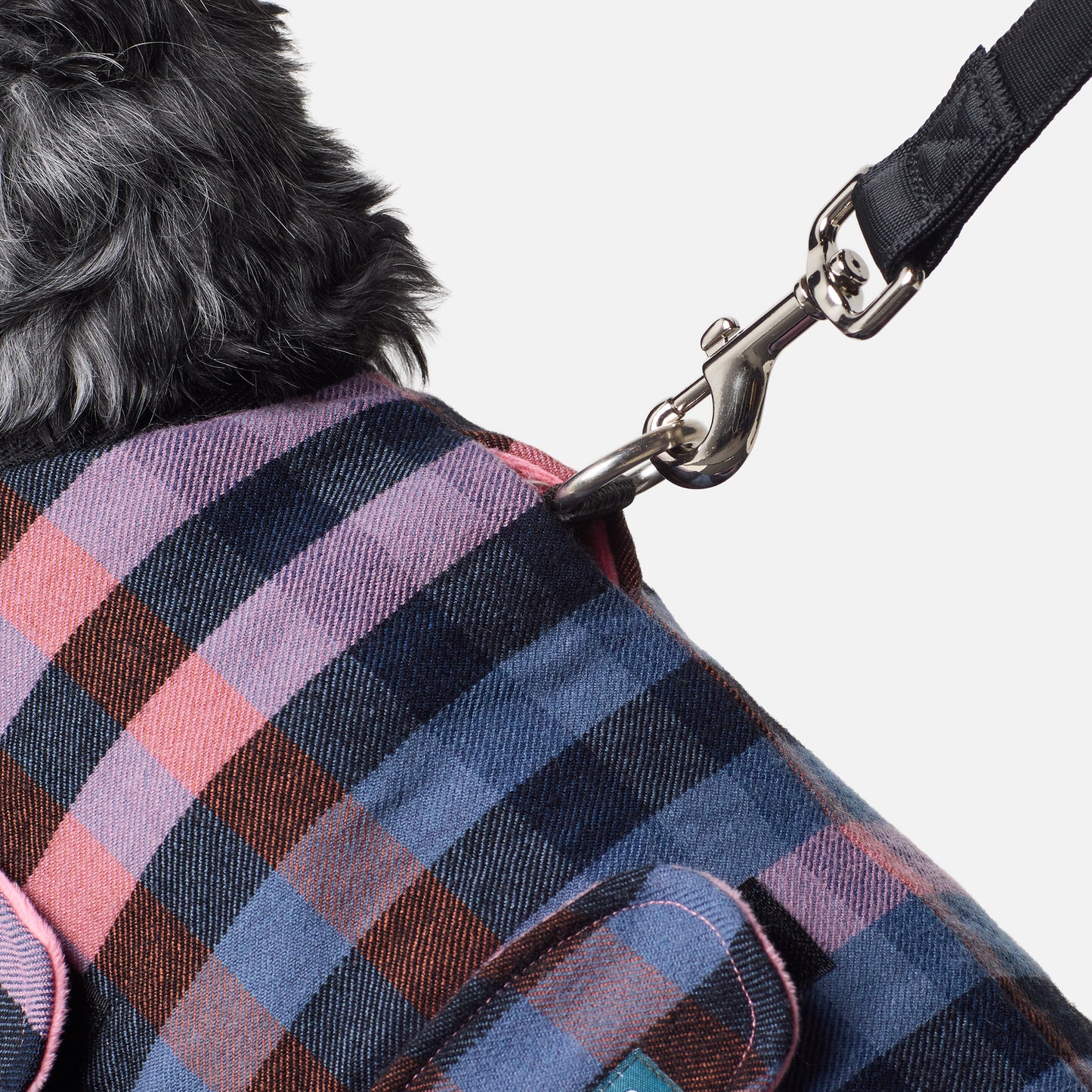 Dog Coat Galah