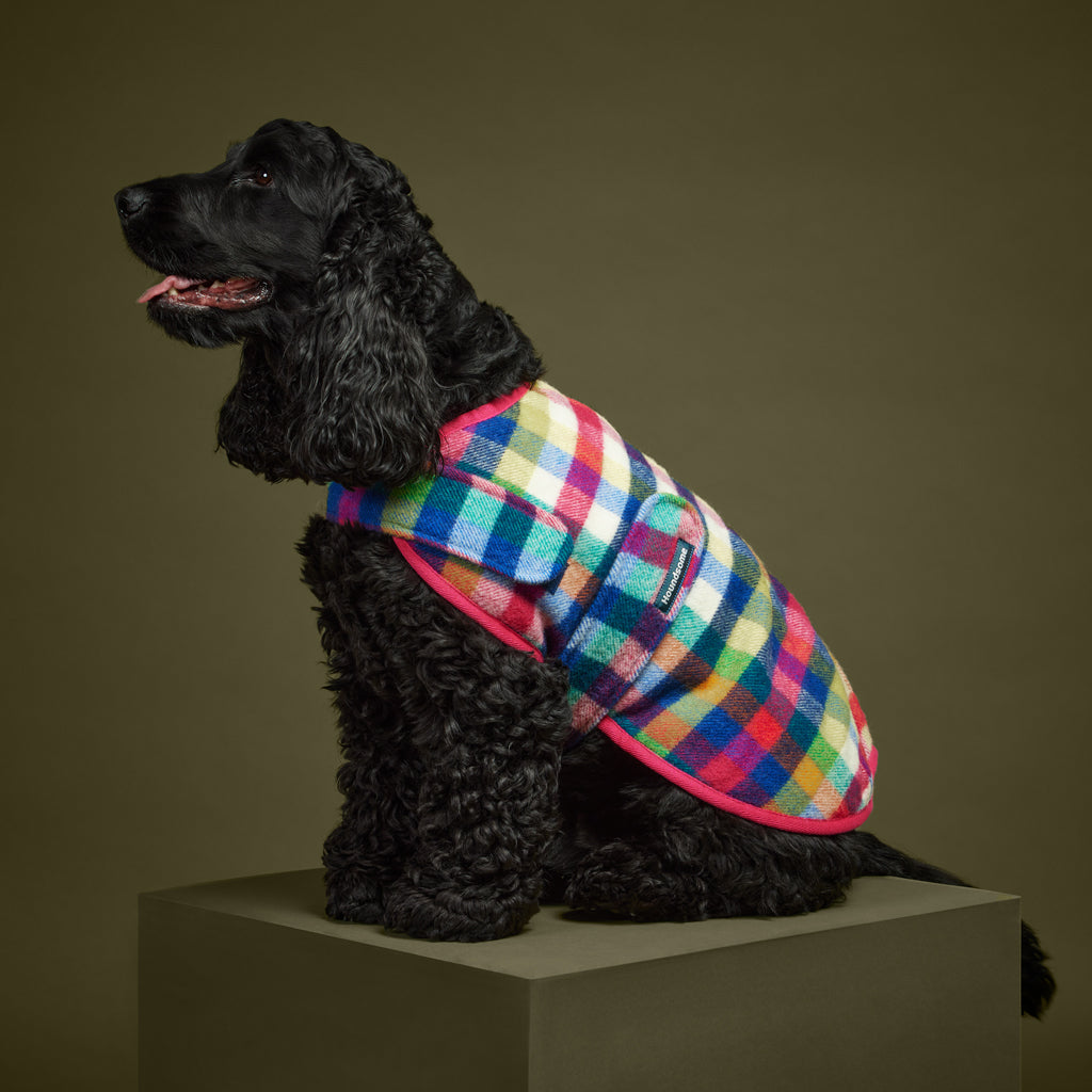 Duncan Dog Sportcoat (with harness opening) in Grevillea Check with Pink Trim