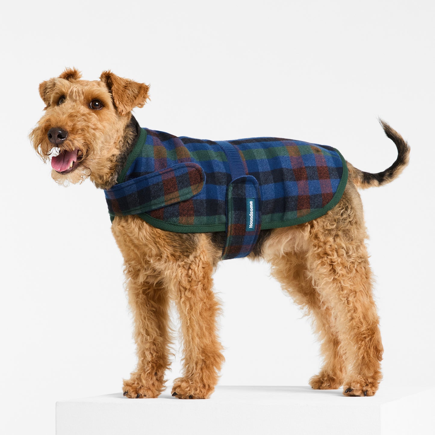 Dog Coat Hinterland