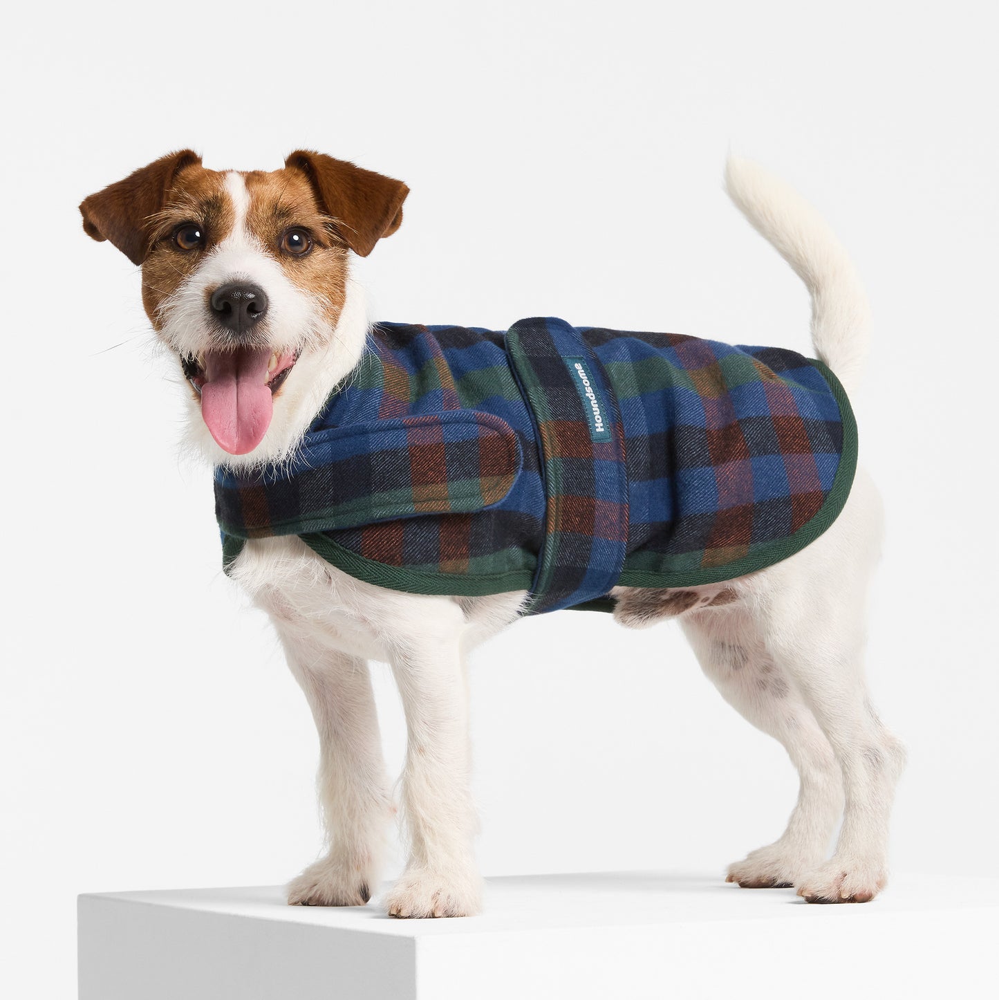 Dog Coat Hinterland