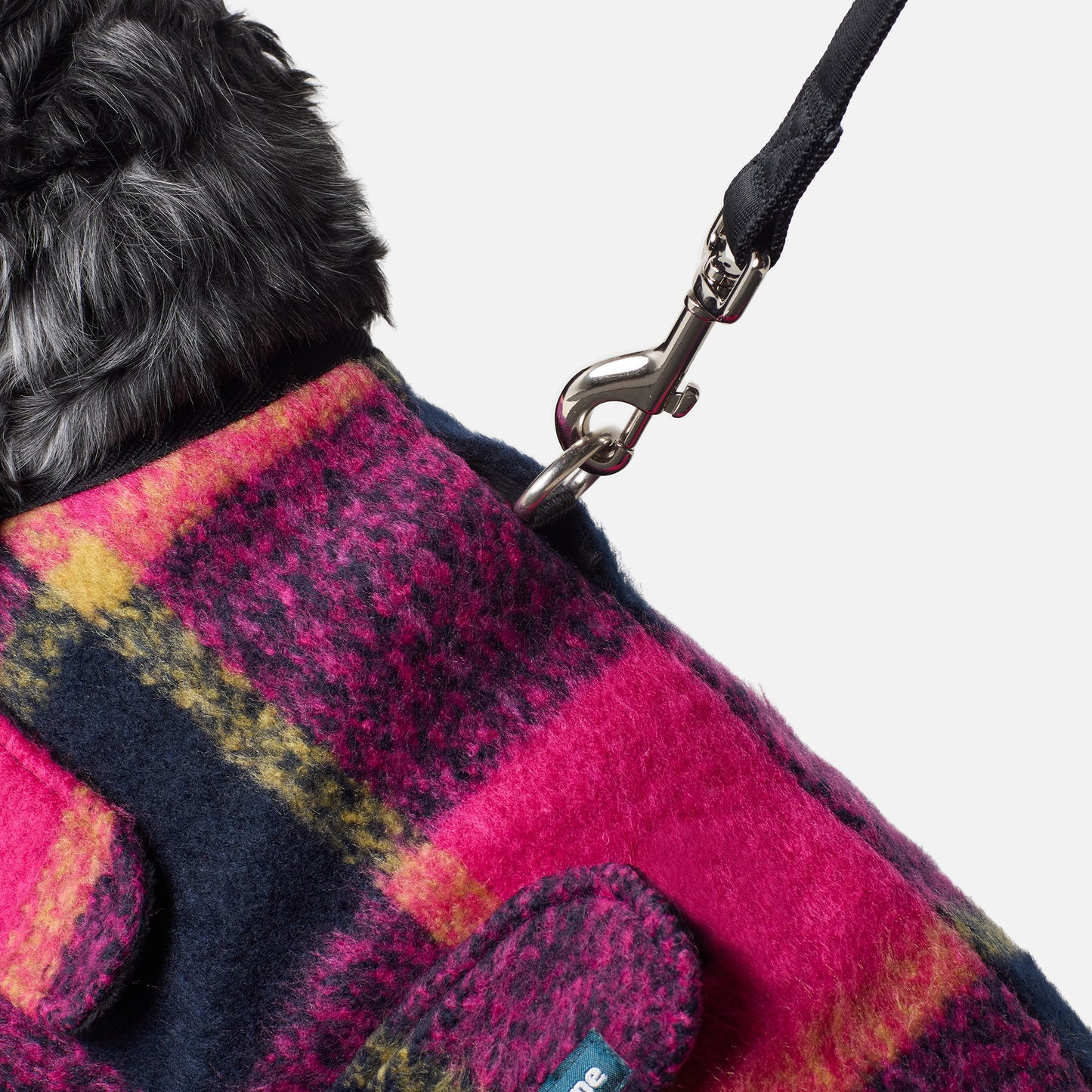 Dog Coat Rosella