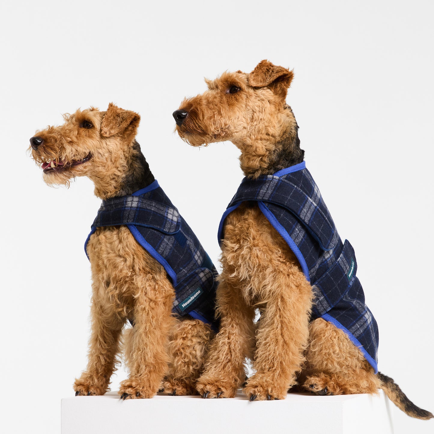 Dog Coat Trentham